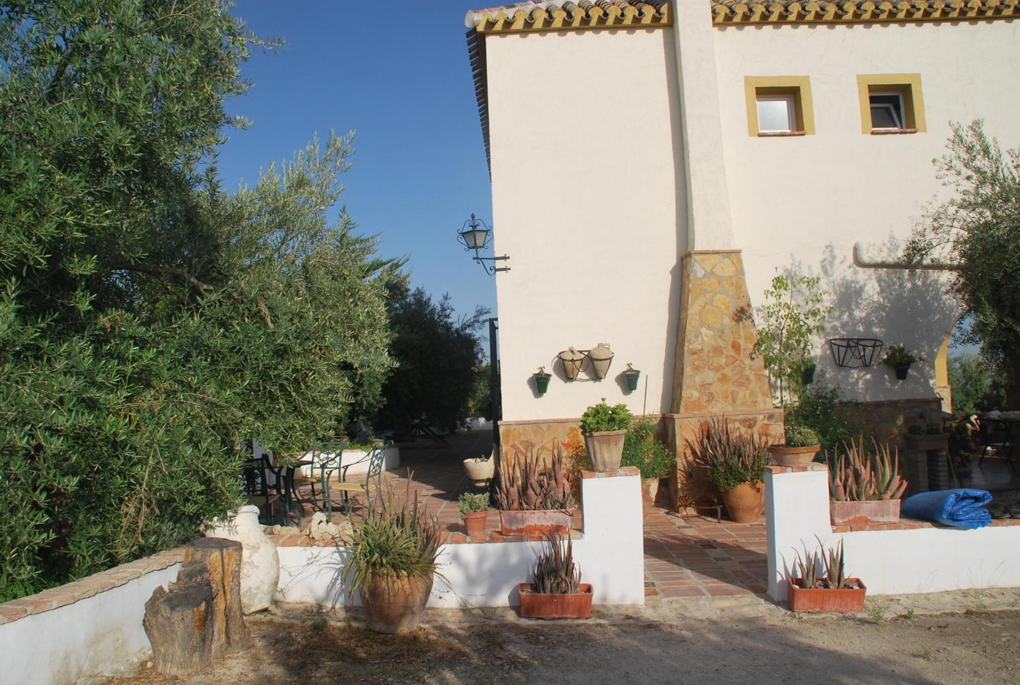 Agroturismo Ecologico El Cortijillo Luque Eksteriør bilde