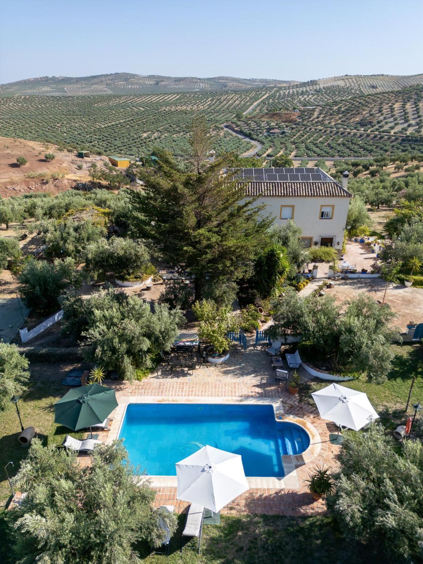 Agroturismo Ecologico El Cortijillo Luque Eksteriør bilde
