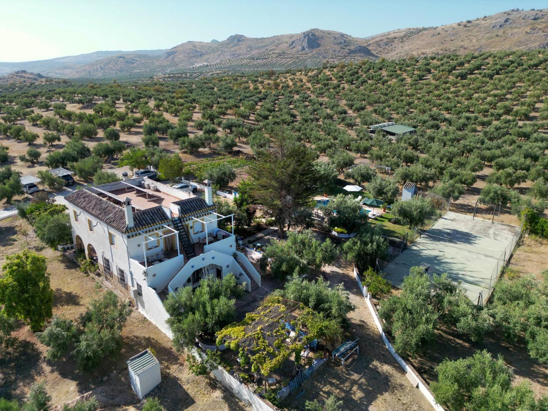 Agroturismo Ecologico El Cortijillo Luque Eksteriør bilde