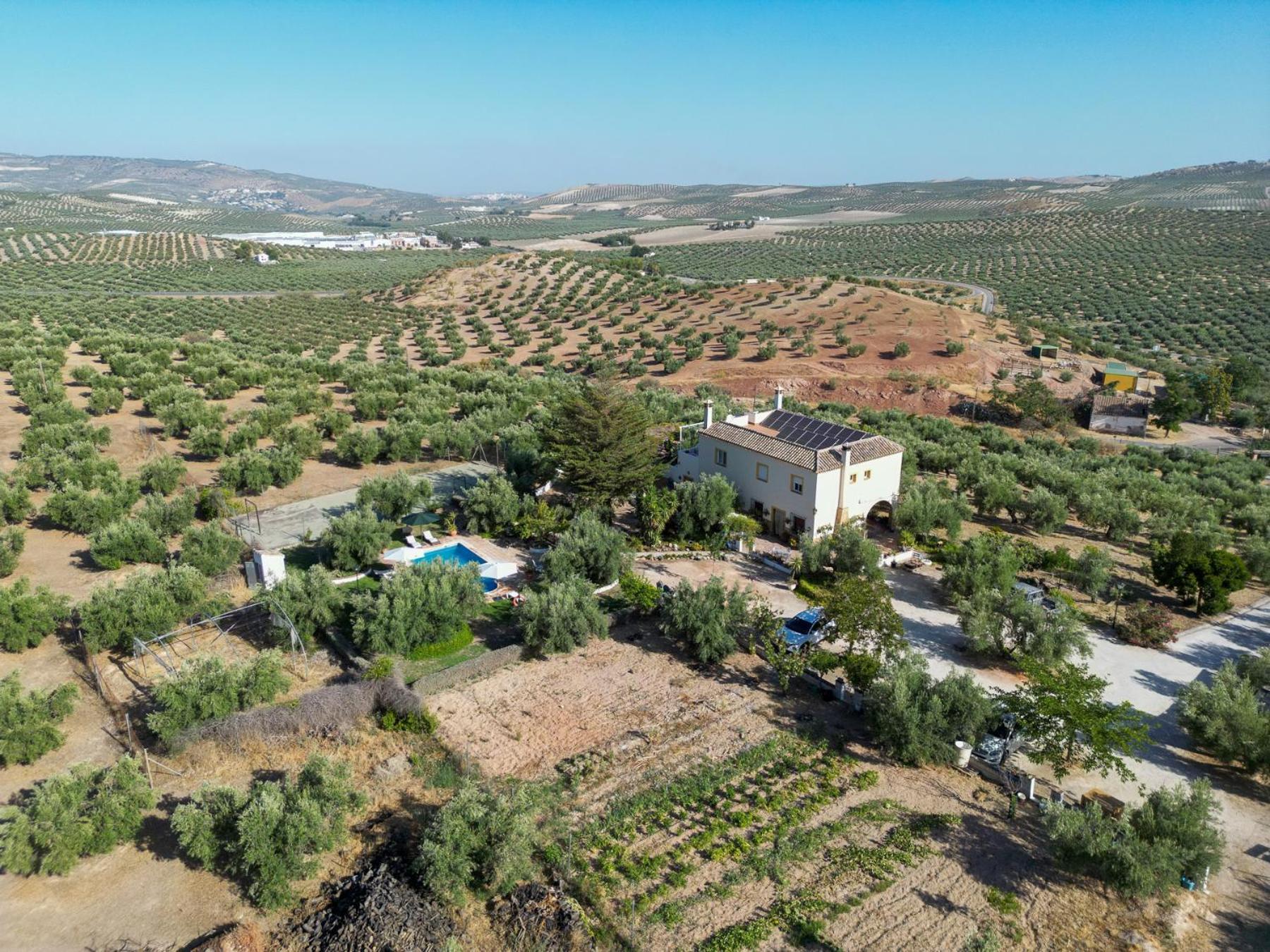 Agroturismo Ecologico El Cortijillo Luque Eksteriør bilde