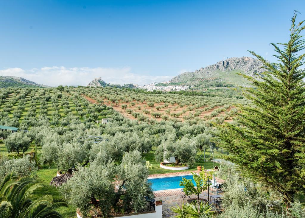 Agroturismo Ecologico El Cortijillo Luque Eksteriør bilde