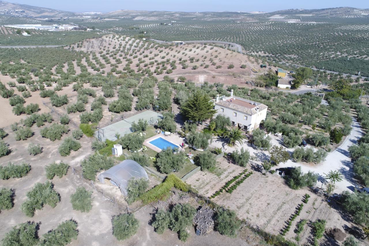 Agroturismo Ecologico El Cortijillo Luque Eksteriør bilde