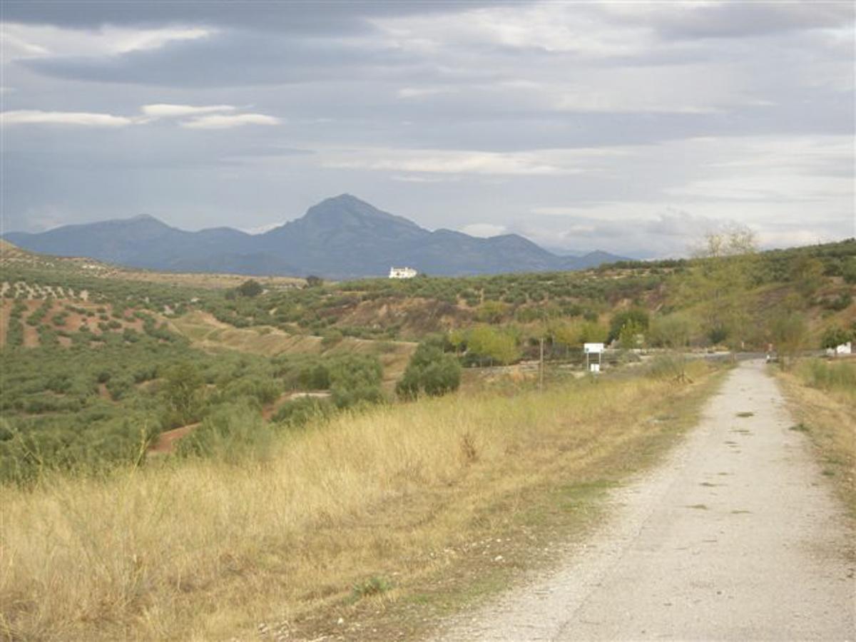 Agroturismo Ecologico El Cortijillo Luque Eksteriør bilde